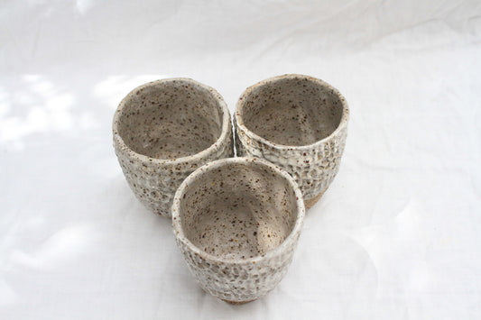 Textured Lines Tumblers with slip